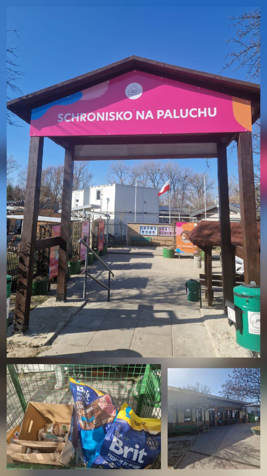 schronisko na paluchu2